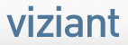 Viziant logo